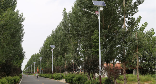 solar street light